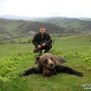 Hunting Brown Bear in Romania