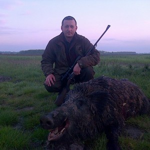 Hunting Boar in Romania