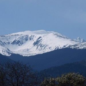 Hunting in Romania