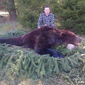 Hunting Brown Bear in Romania