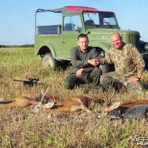 Hunting Roe Deer in Romania