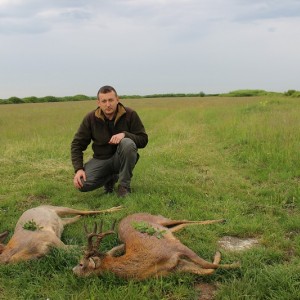 Hunting Roe Deer in Romania