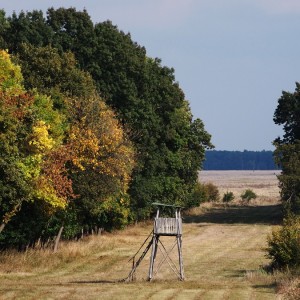 Hunting in Romania