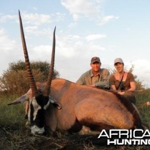 Gemsbok