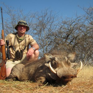 Warthog 2015 Limpopo