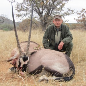 Gemsbok