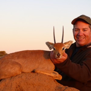 African Steenbuck