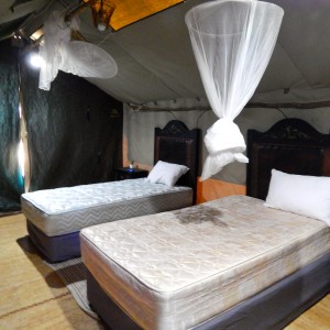 Tent Interior