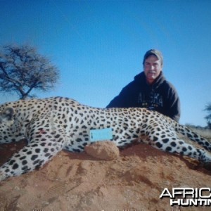 Hunting Leopard Westfalen Hunting Safaris in Namibia