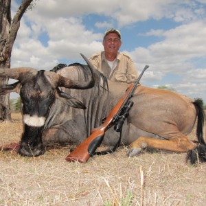 Wildebeest