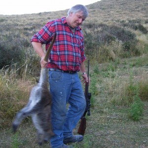 Wallaby hunting - New Zealand