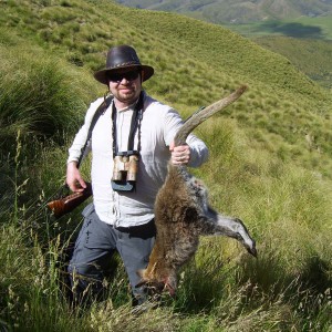 Wallaby hunting in New Zealand