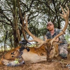 Trophy Red Stag - Poitahue Hunting Ranch