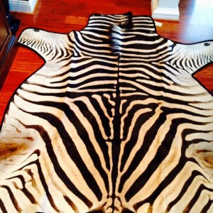 Burchell's Zebra Rug is Finally Complete