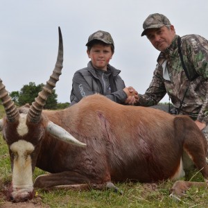 Blesbok