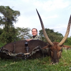 East African Defassa Waterbuck