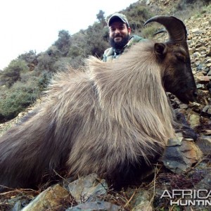 My son's tahr