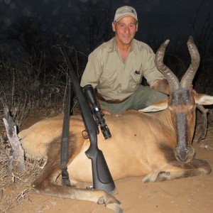 Hartebeest