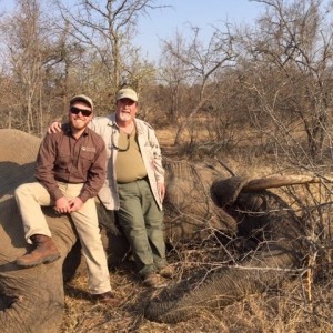 Bryson, Me and The Bull