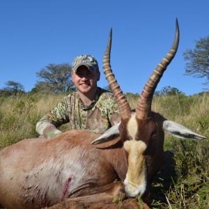 Monster Blesbok