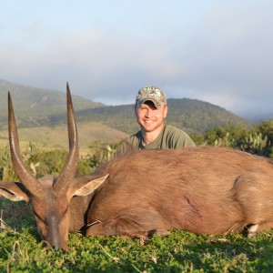 Big Cape Bushbuck