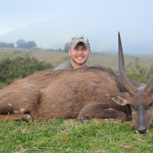 Big Cape Bushbuck