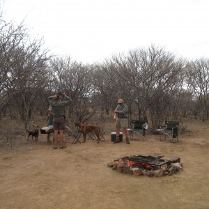 Braai in the bush