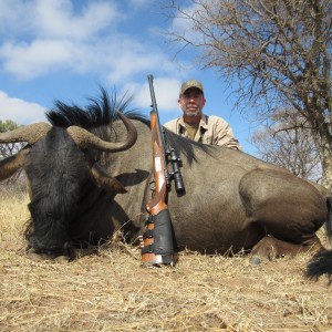 Old Bull Wildebeest