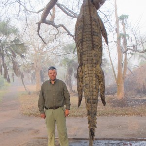 Crocodile