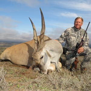 Eland