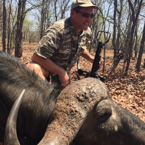 Crossbow Cape Buffalo