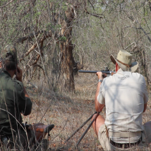 Buffalo Cow Hunting