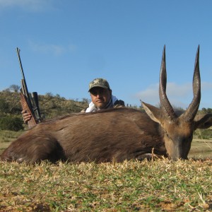 Southern bushbuck from Mankazana Valley.