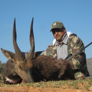 Southern bushbuck from Mankazana Valley.