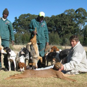 Caracal and jackal on a good morning out with the hounds.