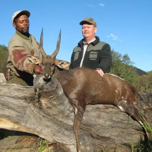 Bushbuck - Free range Mankazana Valley