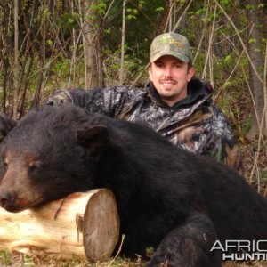 330 pound black bear shot in Quebec in May 2008