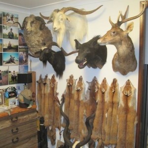 Trophy Room