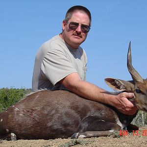 Bushbuck