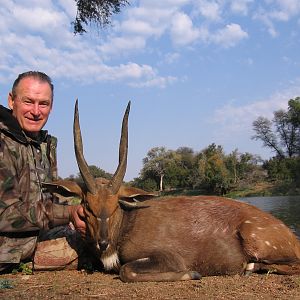 Bushbuck