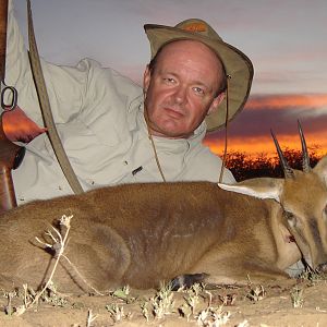 Common Duiker