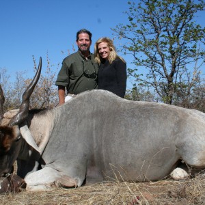 Cape Eland