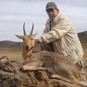 Mountain Reedbuck