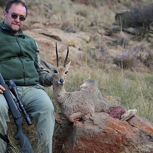 Vaal Reedbuck