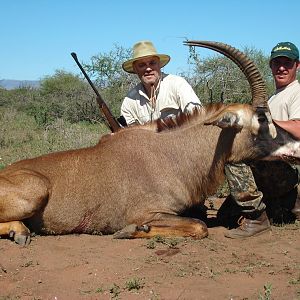 Roan Antelope