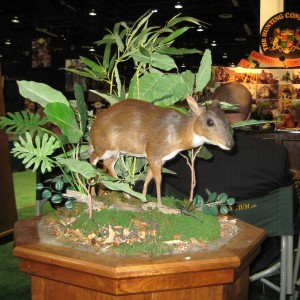 Safari Club International Convention - SCI