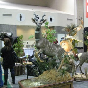 Safari Club International Convention - SCI