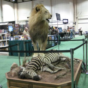 Safari Club International Convention - SCI