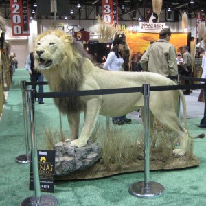 Safari Club International Convention - SCI