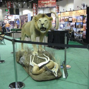 Safari Club International Convention - SCI